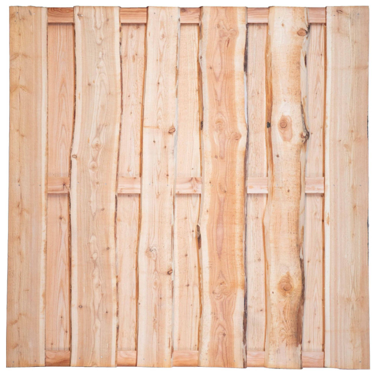 Image 2 b
